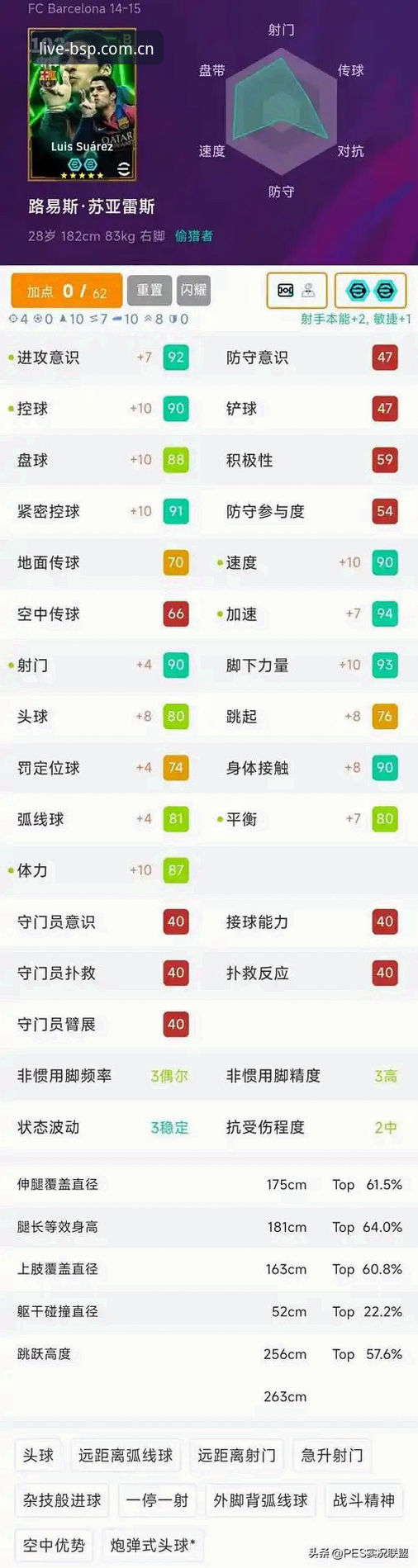 BSPORTS比分数据安卓版实测：5个维度告诉你为什么行家首选它